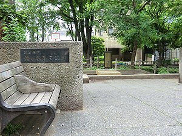 【周辺】周辺環境:幡ヶ谷第三公園