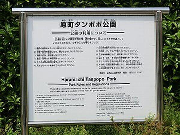 【周辺】周辺環境:原町タンポポ公園