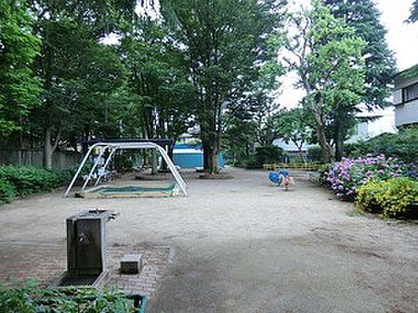 【周辺】周辺環境:大宮児童公園