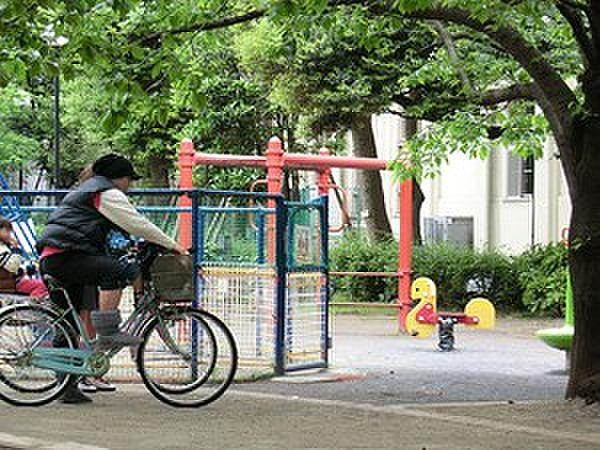 【周辺】坂本町公園