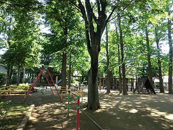 【周辺】周辺環境:西永福公園
