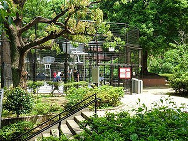 【周辺】周辺環境:美竹公園