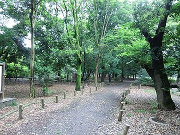 【周辺】周辺環境:都立和田堀公園