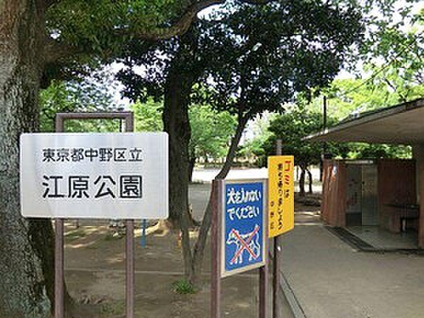 【周辺】周辺環境:江原公園