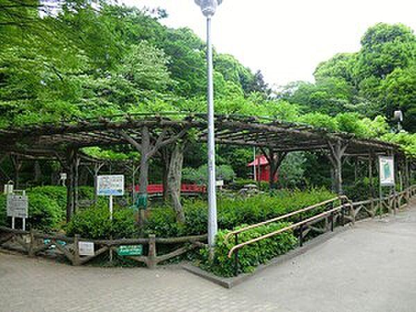【周辺】須藤公園