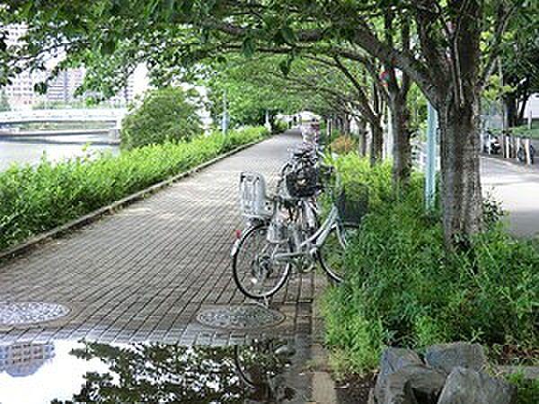 【周辺】周辺環境:新川公園