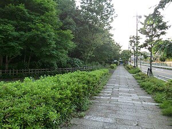 【周辺】周辺環境:岡本隧道公園