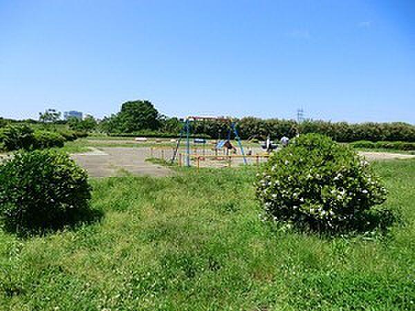 【周辺】周辺環境:多摩川玉川公園