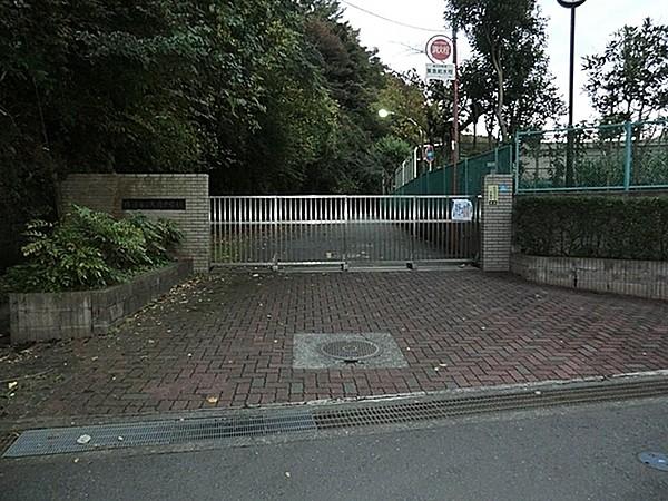 【周辺】横浜市立大道中学校まで1275m