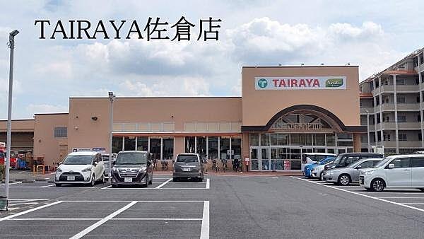 【周辺】TAIRAYA佐倉店まで296m