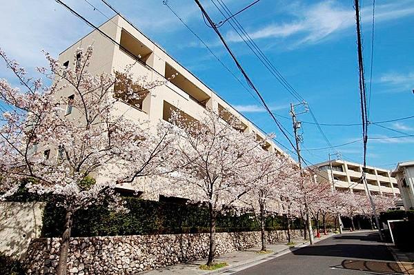 【外観】美しい桜並木に癒される穏やかな周辺環境。名城線、鶴舞線の2沿線が徒歩圏。