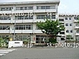【周辺】鎌倉市立富士塚小学校まで246m