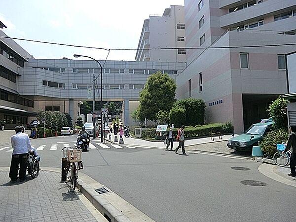 【周辺】国家公務員共済組合連合会横須賀共済病院まで736m