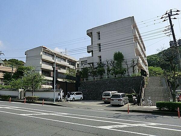 【周辺】鎌倉市立植木小学校まで1440m