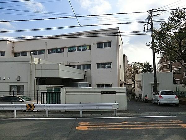 【周辺】横浜市立境木小学校まで290m