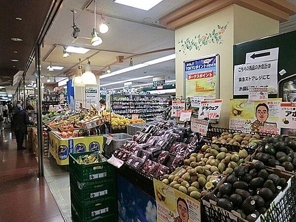 【周辺】東急ストア横浜地下街店まで442m