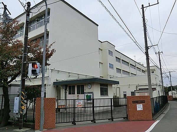 【周辺】横浜市立川和小学校まで560m