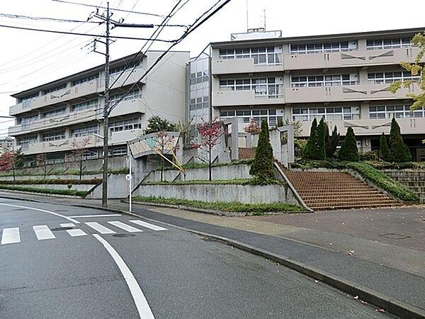 【周辺】横浜市立南山田小学校まで630m