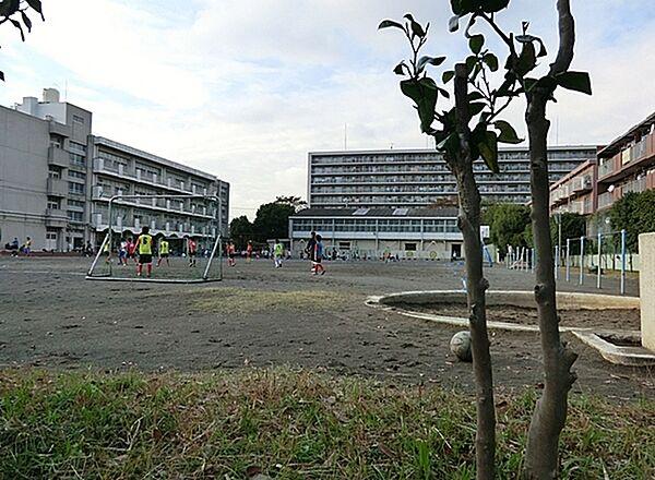 【周辺】横浜市立大豆戸小学校まで545m