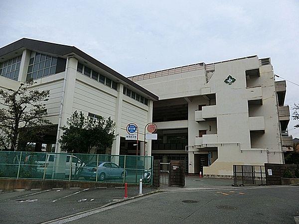 【周辺】横浜市立森中学校まで1139m