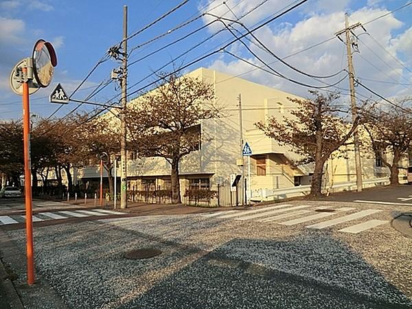 【周辺】横浜市立南台小学校まで977m