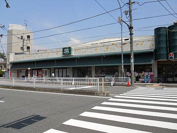 【周辺】Fuji伊勢町店まで979m