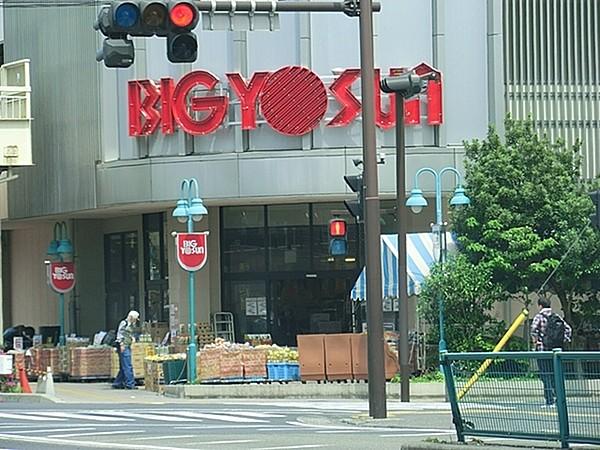 【周辺】ビッグヨーサン東神奈川店まで1015m