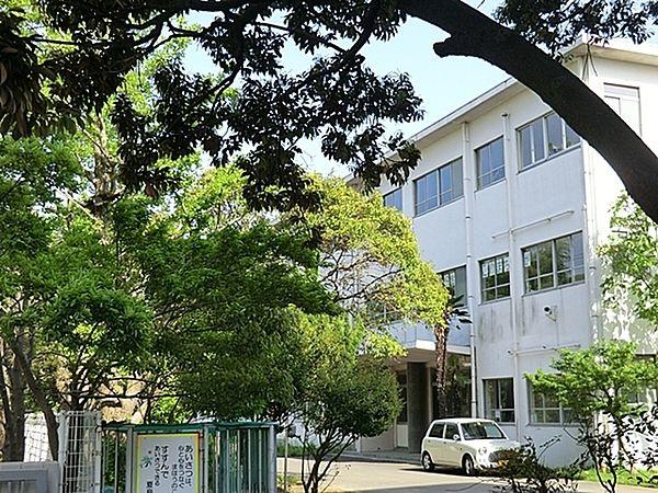 【周辺】横須賀市立夏島小学校まで73m