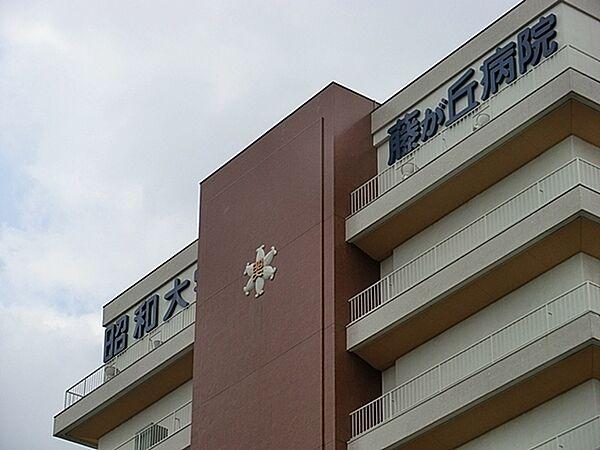 【周辺】昭和大学藤が丘病院まで468m