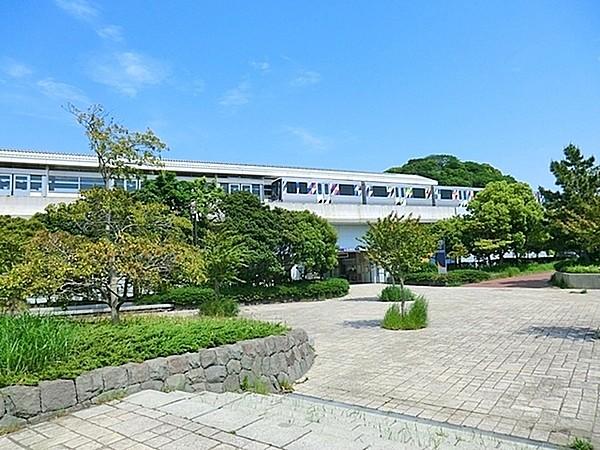 【周辺】海の公園柴口駅まで320m、駅歩4分