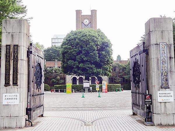 【周辺】国立東京大学教養学部まで1320m