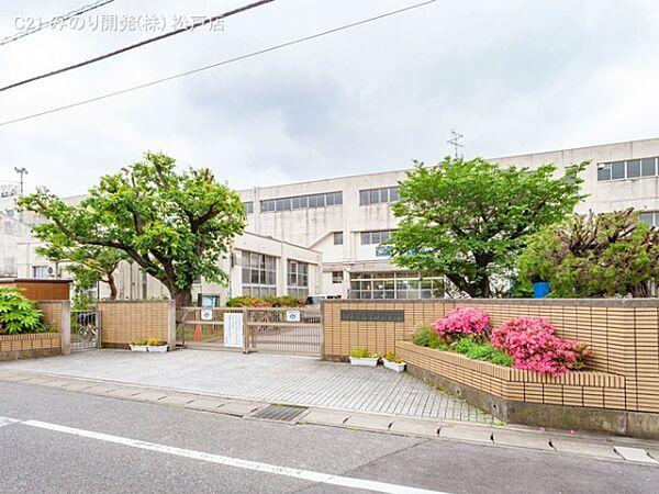 【周辺】松戸市立南部小学校まで550m