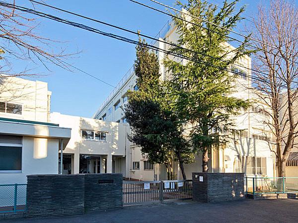 【周辺】横浜市立常盤台小学校まで2000m