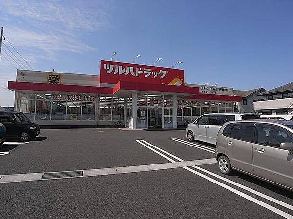 【周辺】ツルハドラッグ水戸元吉田店まで927m