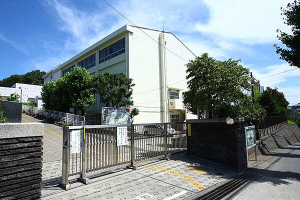 【周辺】横浜市立藤が丘小学校まで1012m、分からないところはとても丁寧に教えてくれるそうです。