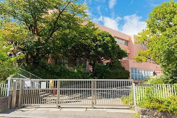 【周辺】横浜市立荏田南小学校まで706m、緑道の中に立地する環境のよい学校です。PTAやお父さんの会の活動も活発で、地域をあげて学校を盛り立てています。