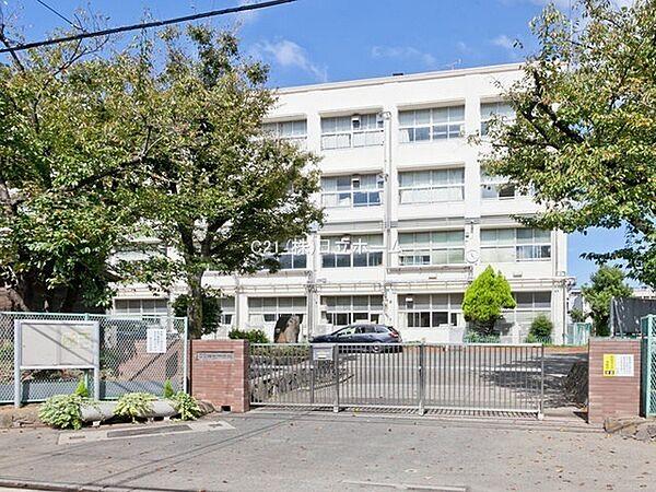 【周辺】横浜市立樽町中学校まで1205m