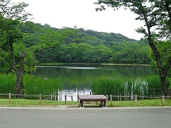 【周辺】三ツ池公園まで1598m、日本の「さくら名所100選」に選ばれている公園。またテニスコートなどの運動施設やパークセンターも備えた総合公園です。