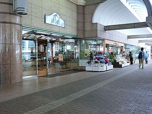 【周辺】ラスカ茅ケ崎まで503m、JR茅ヶ崎駅直結のショッピングセンター