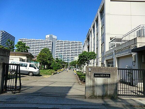 【周辺】川崎市立日吉小学校まで1450m、平坦地だから低学年のお子さんも通学ラクラク