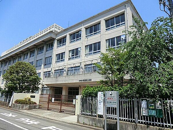 【周辺】川崎市立南加瀬小学校まで754m、平坦地だから低学年のお子さんも通学ラクラク