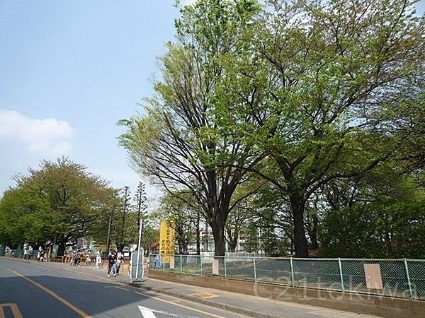 【周辺】北朝霞公園まで411m
