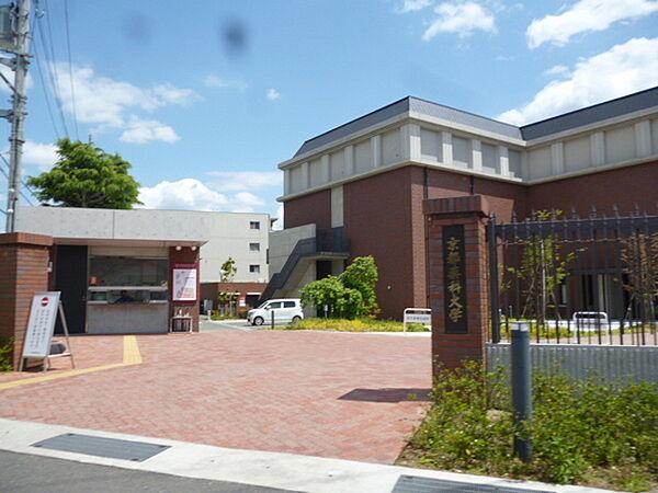 【周辺】京都薬科大学南校舎まで488m