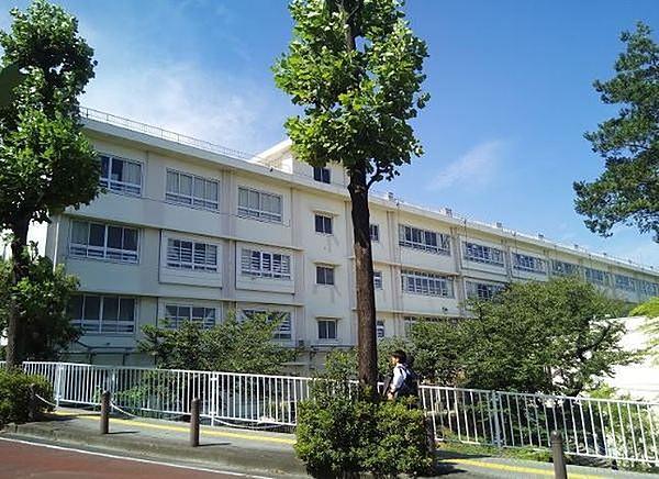 【周辺】川崎市立富士見台小学区まで390m