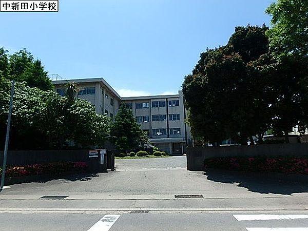 【周辺】海老名市立中新田小学校まで1379m
