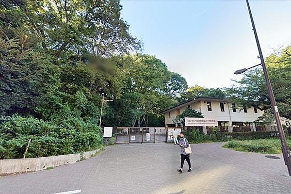 【周辺】独立行政法人国立科学博物館附属自然教育園まで900m