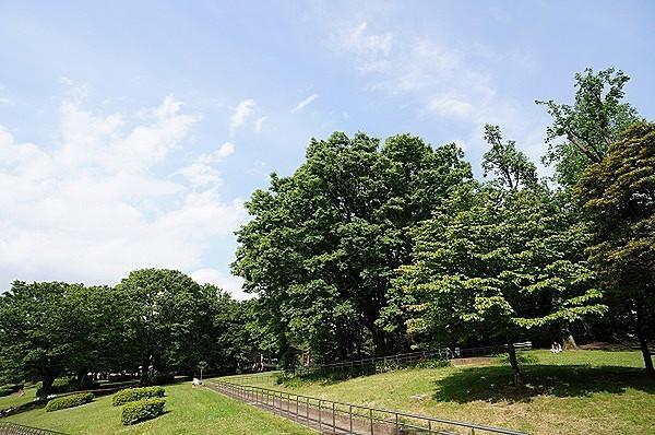 【周辺】東京都立代々木公園まで300m