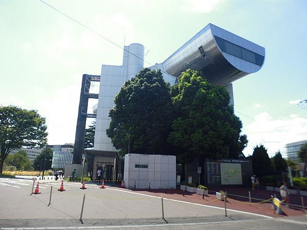 【周辺】国立東京工業大学大岡山キャンパスまで596m