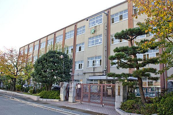 【周辺】京都市立樫原小学校まで142m