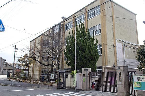 【周辺】京都市立川岡小学校まで717m